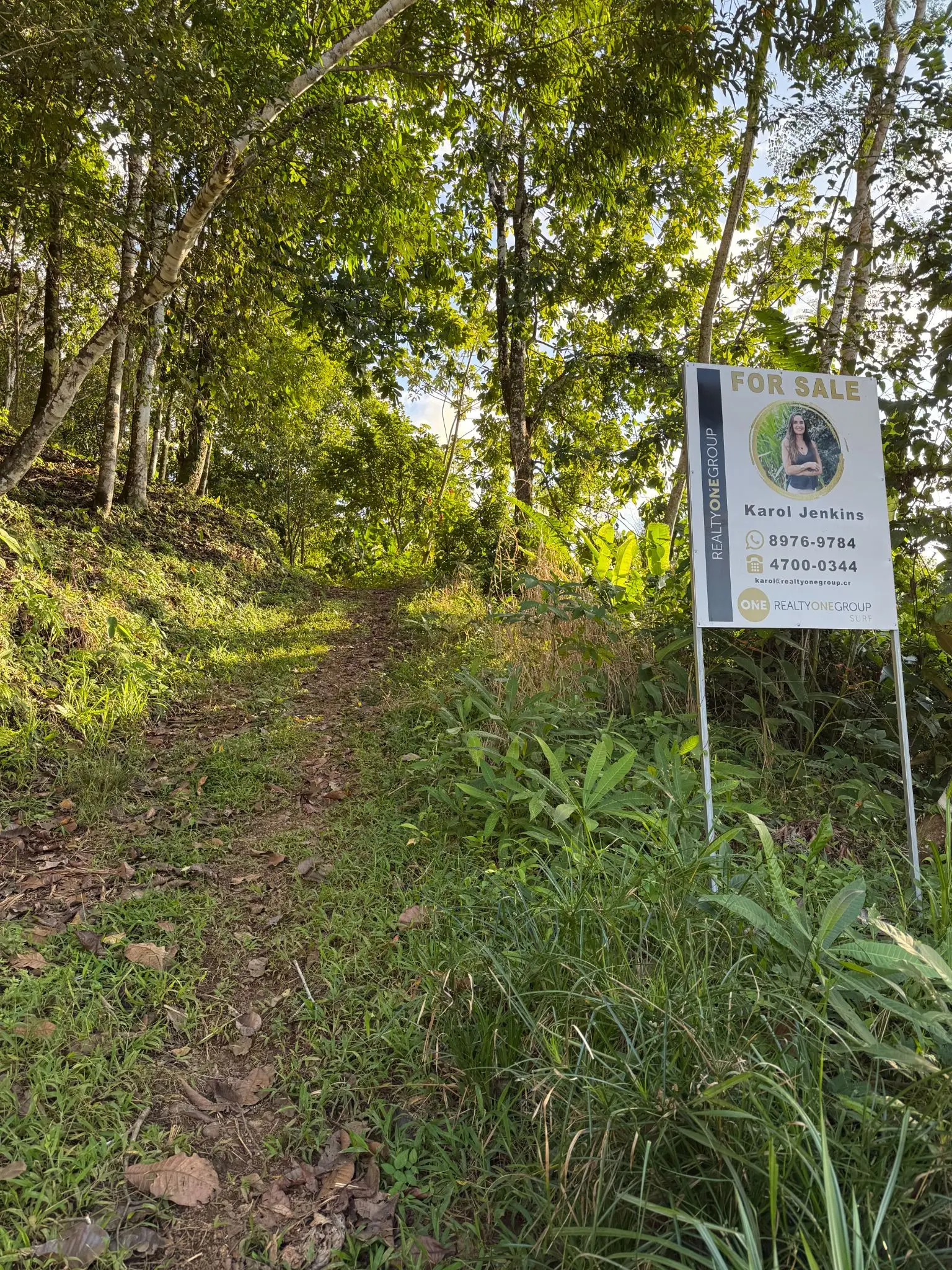 🌊 Luxury Tropical Investment: Ocean & Jungle View Lot with Approved Permits - image 5