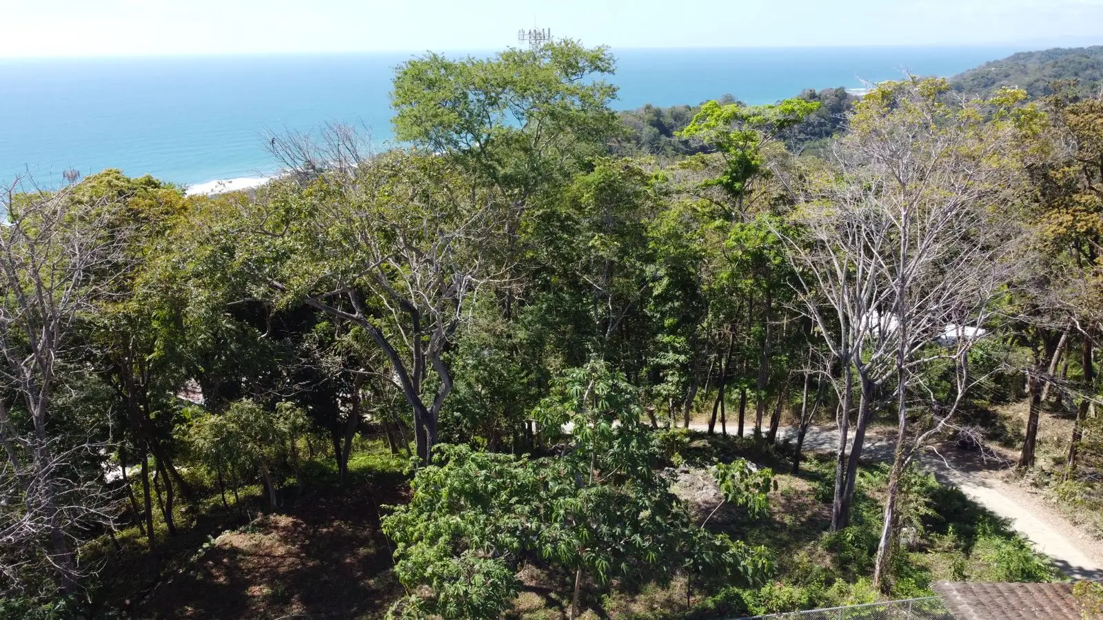 Exclusive 1260 m² Development Lot in Santa Teresa – Prime Location on Calle Buenos Aires - image 3