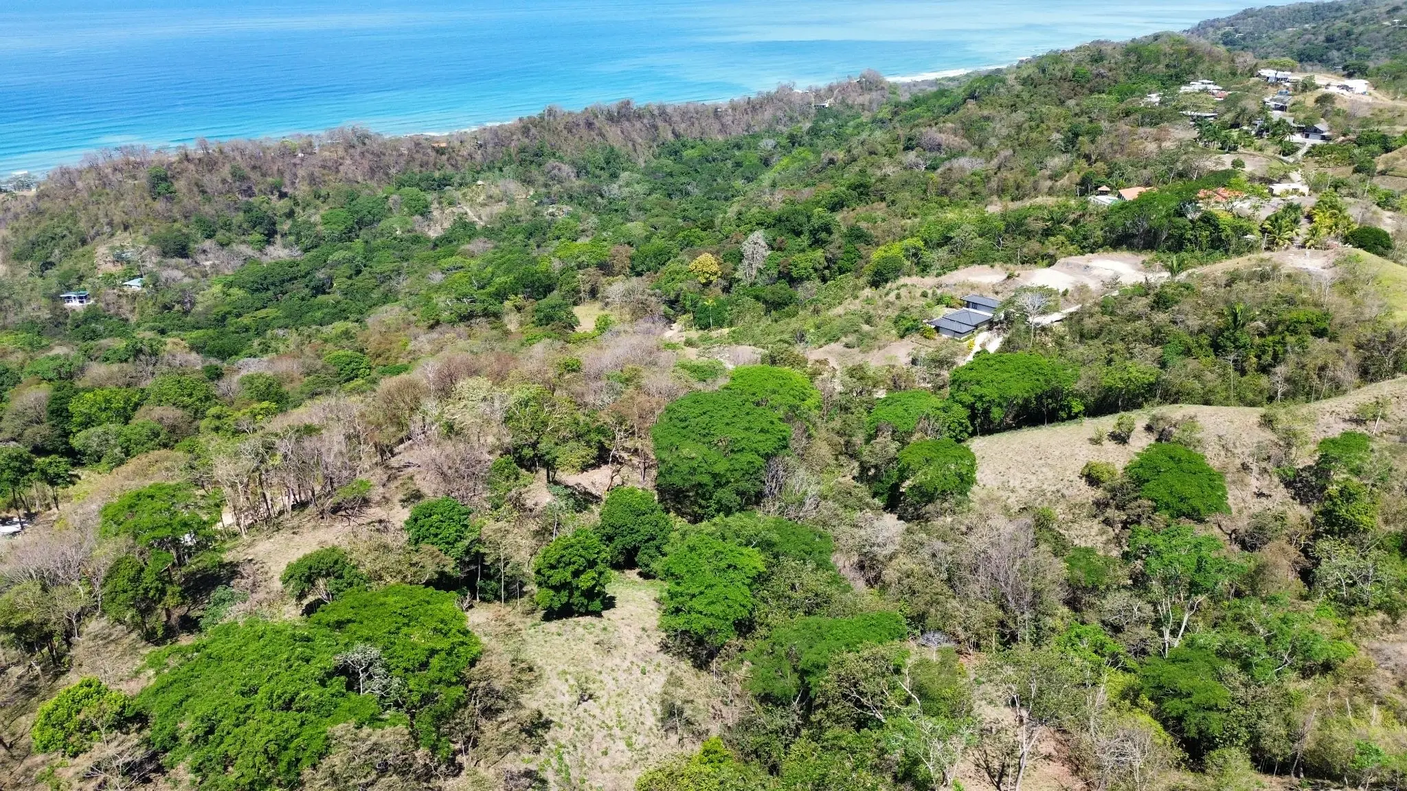 Exceptional Hillside Lots with Ocean & Jungle Views in Santa Teresa, Costa Rica - image 3