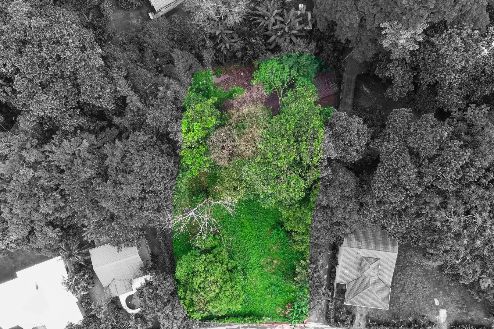 Prime Land for Sale in Pueblo Nuevo, Jacó - Perfect Investment! - image 3