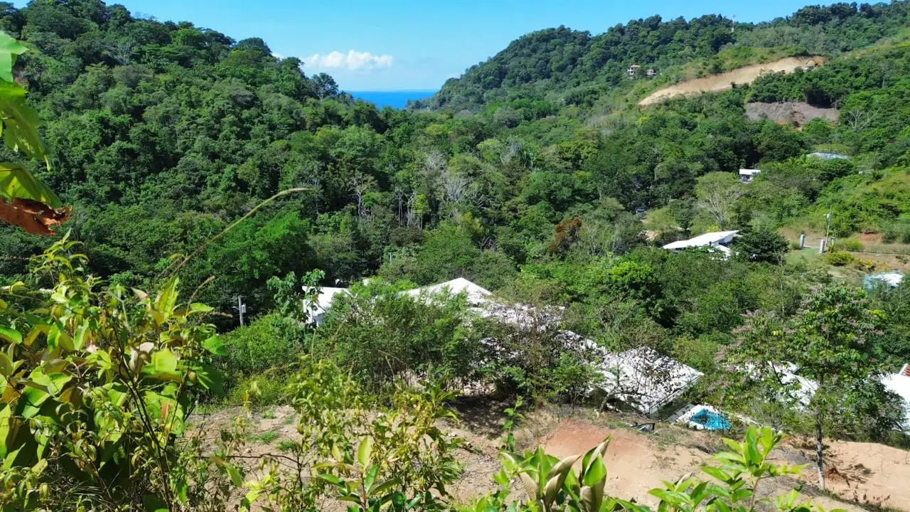 Ocean view property for sale in one of the most exclusive gated communities in Playa Hermosa, Jacó - image 8