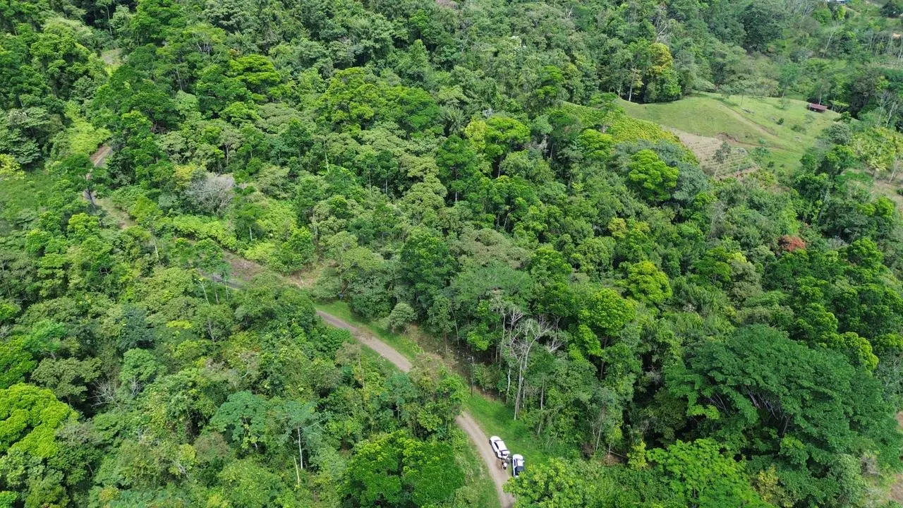 SALE / Dream Farm in the province of ALAJUELA - image 10