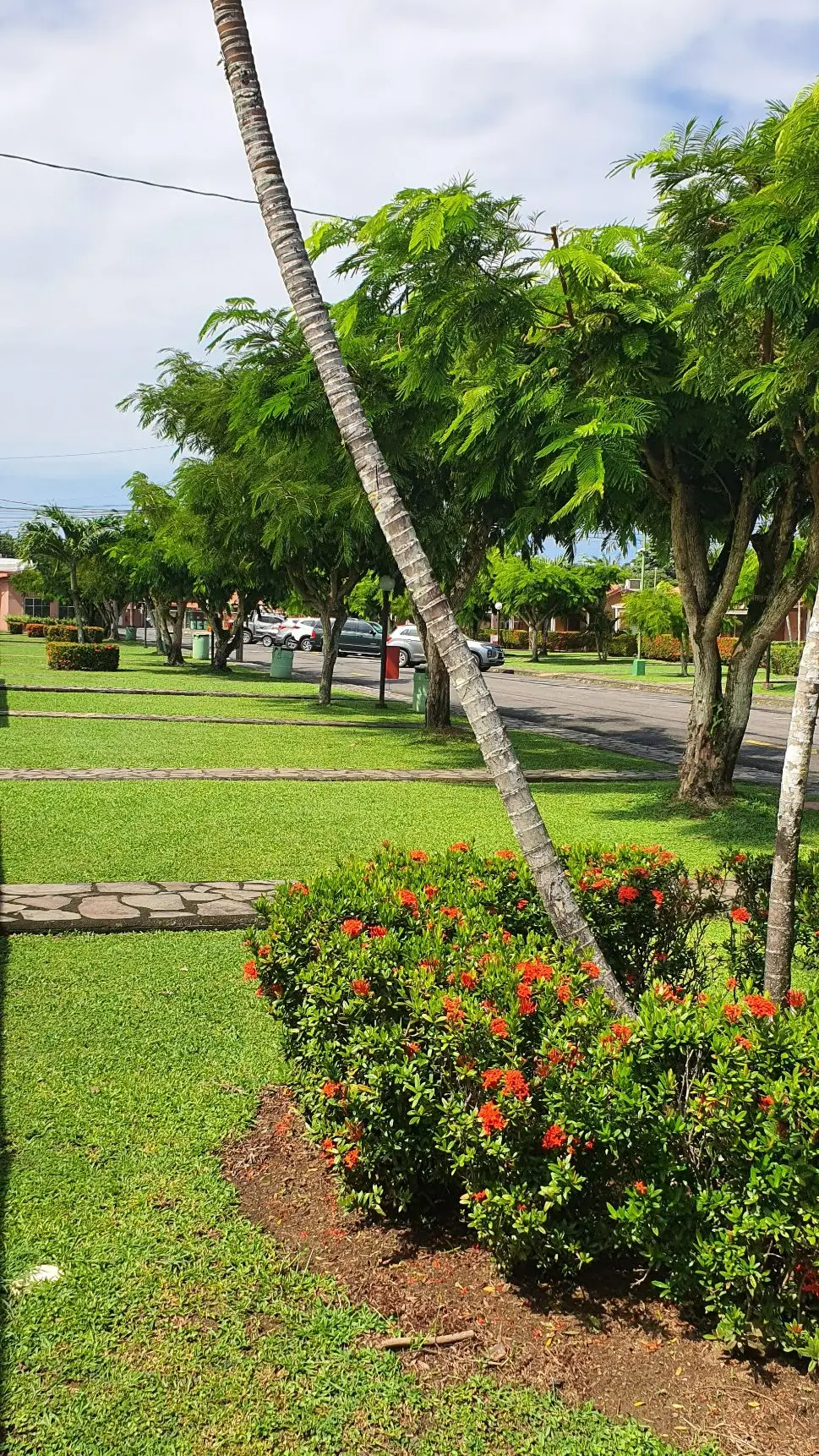 Charming 4-Bed Condo in Jacó - Perfect Family Home or Income Property ! - image 15