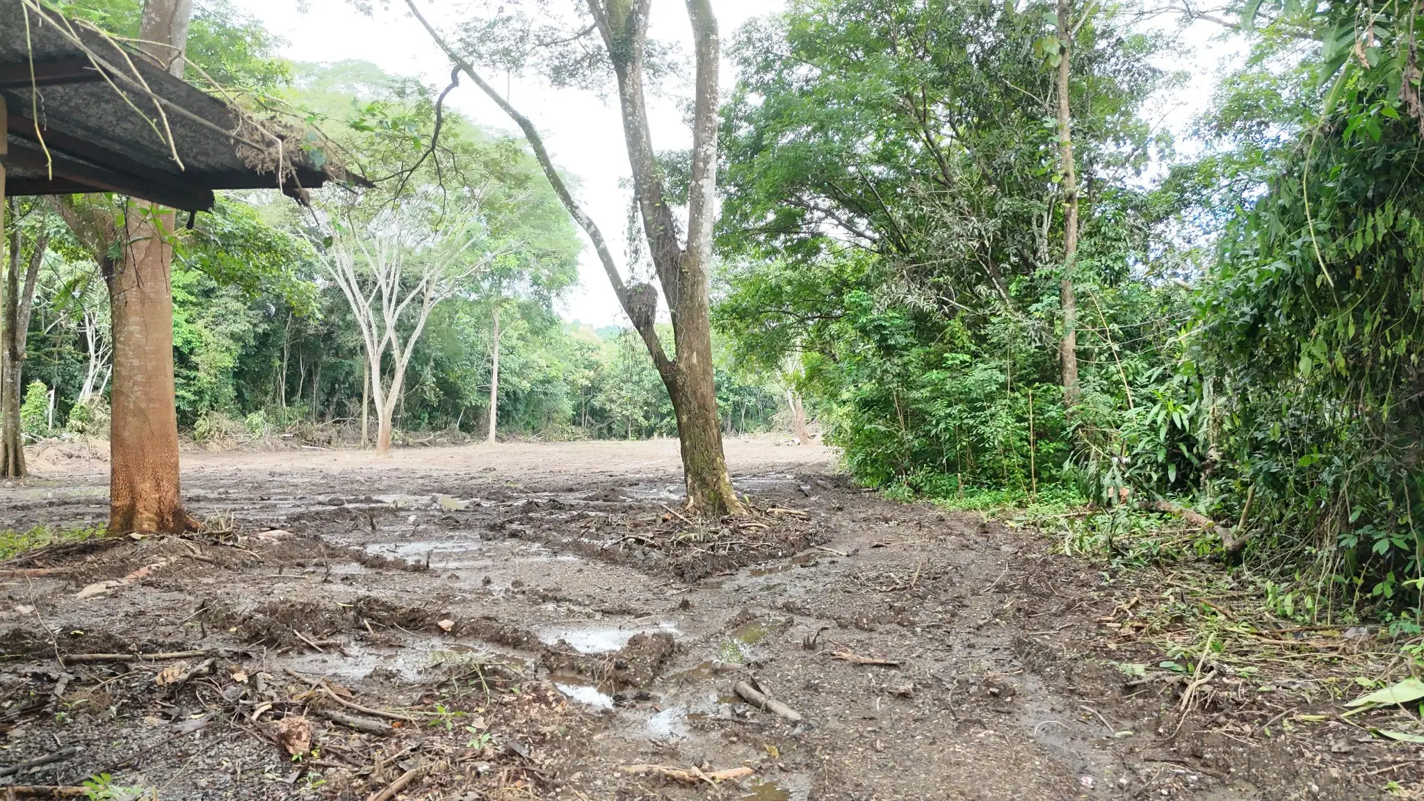 Prime Land for Sale in Tárcoles, Costa Rica - Ideal Development Opportunity! - image 6