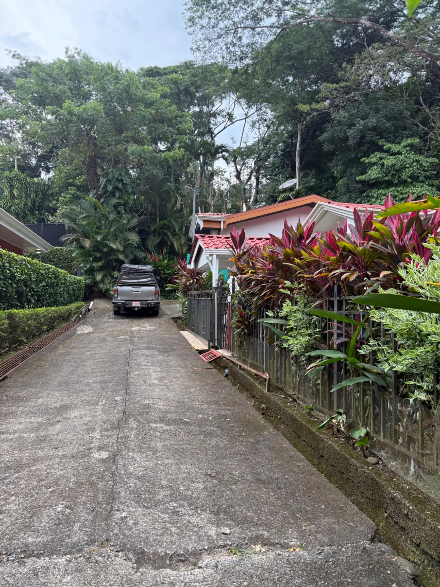 CHARMING  HOME WITH SCENIC FOREST VIEWS  - image 3