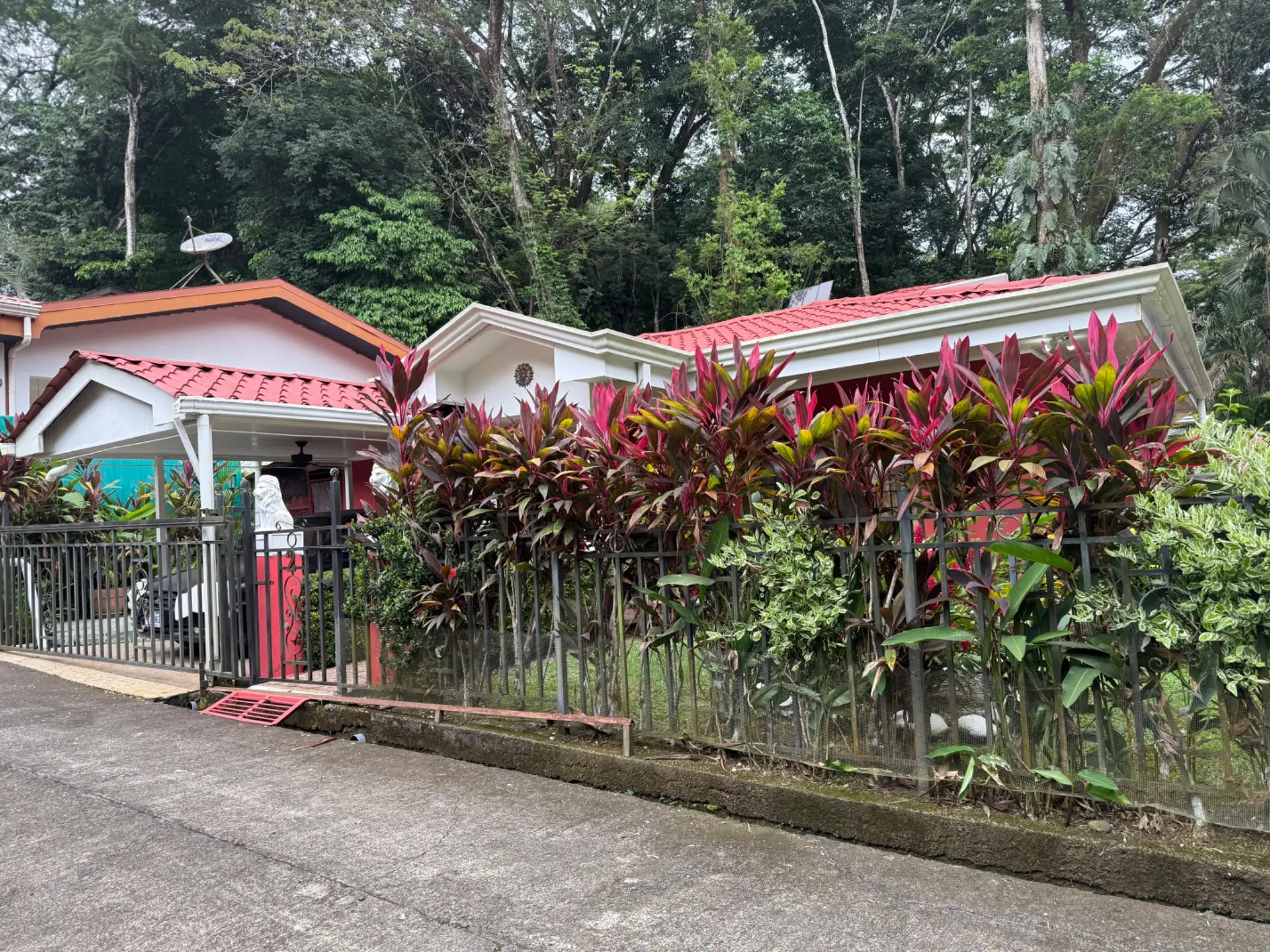 CHARMING  HOME WITH SCENIC FOREST VIEWS  - image 5