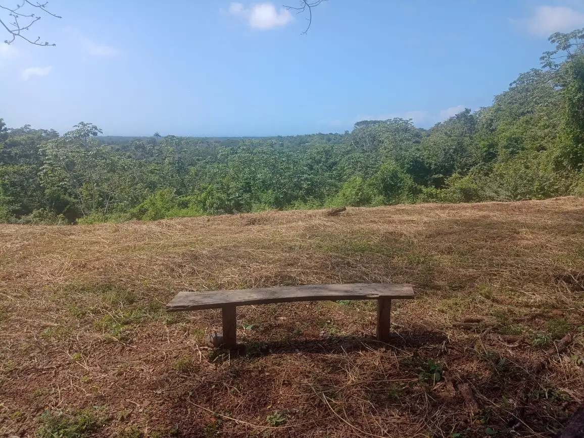 Garabito Land: 4-Acre Lot in Eco Desarrollo Community - image 9