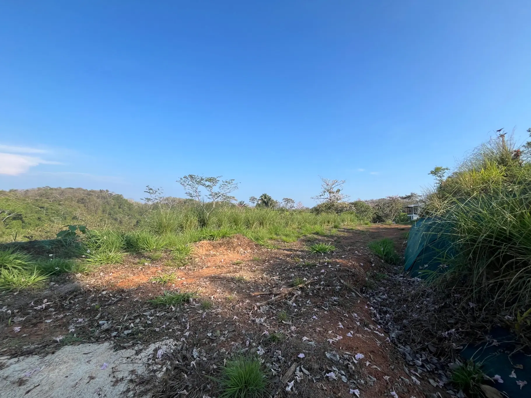 Lot with three building sites minutes to Hermosa in quiet neighborhood  - image 9