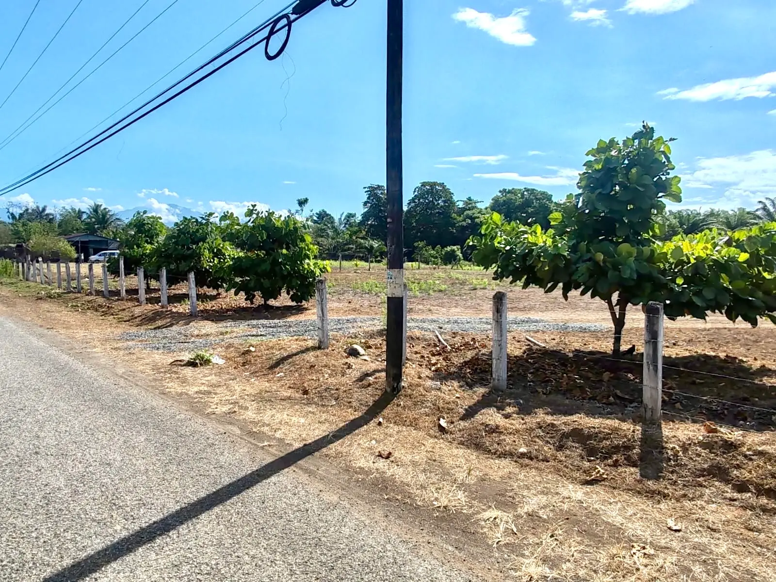 Expansive 4200sqm Land for Development or Farming near Playa Palo Seco, Parrita - image 2