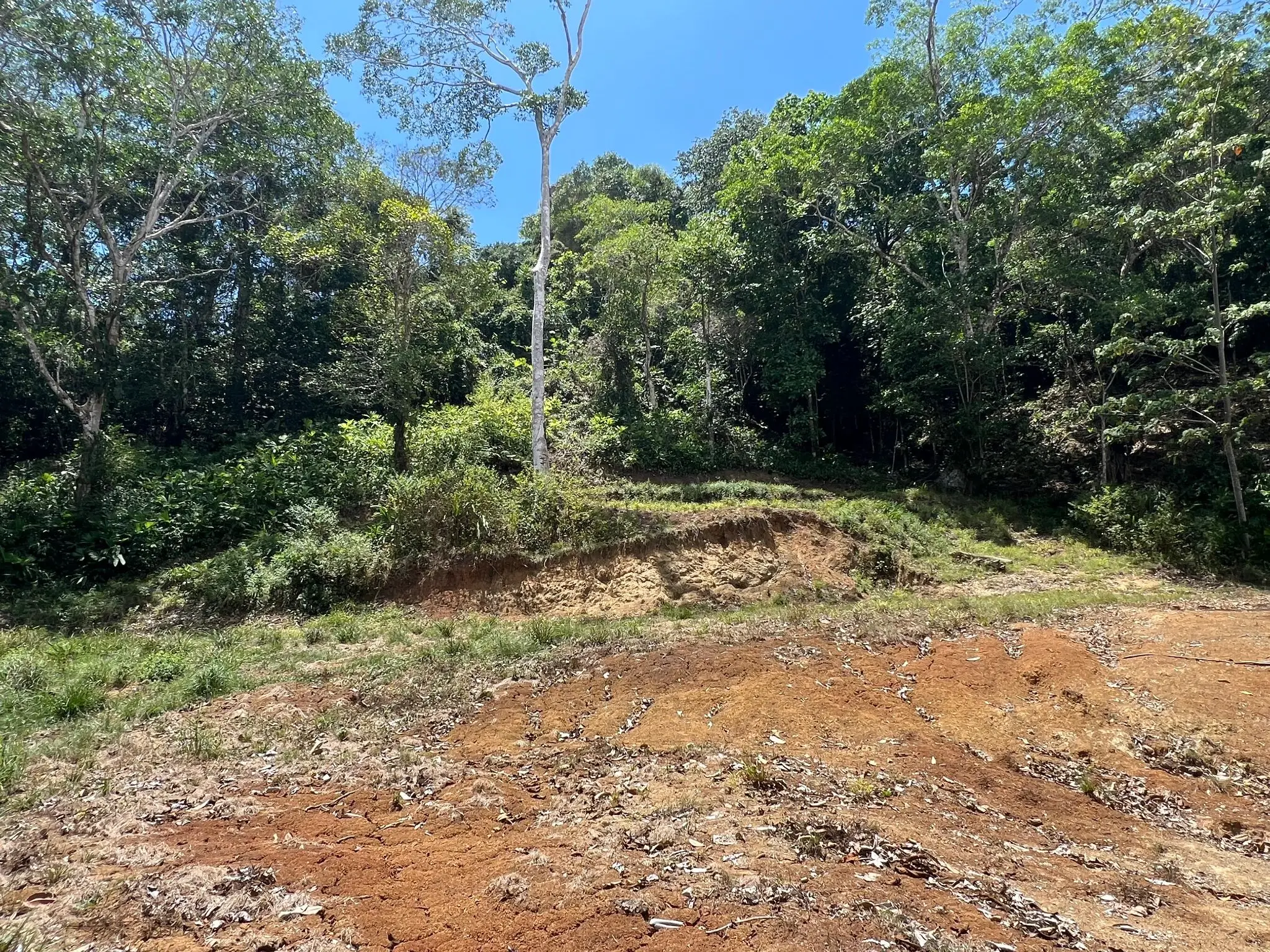 Prime 5028sqm Development Lot in Jacó, Costa Rica – Endless Possibilities Await  - image 4