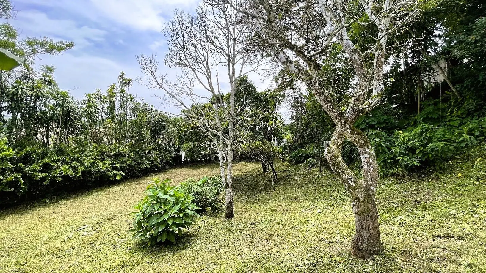 HOUSE & LARGE LOT FOR SALE IN SAN ISIDRO, SAN RAMON - image 3