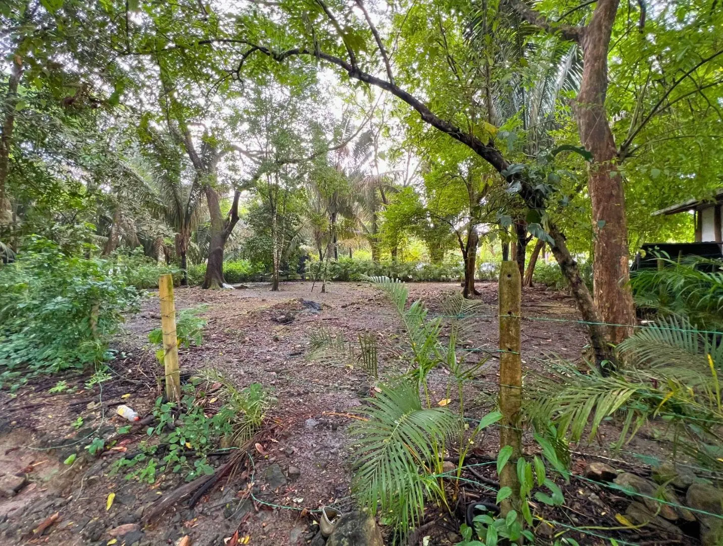 Exclusive Beach property in Playa Hermosa, Costa Rica – ready for a luxury villa or boutique hotel, with direct beach access and permits in place. - image 12