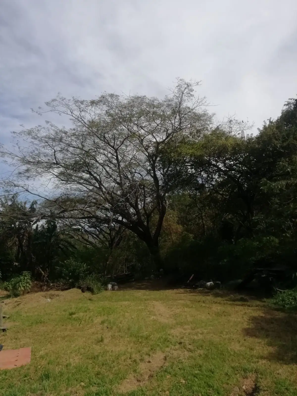 Beautiful lot in Santa Ana for a Developer - image 4