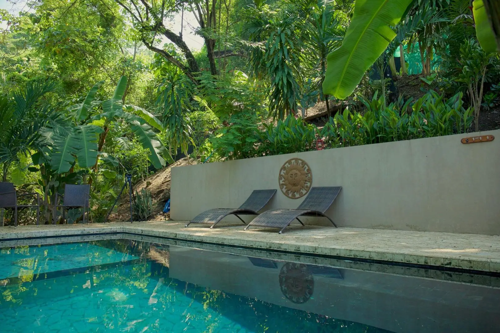  3 Independent Units, Pool & Tropical Gardens steps to the Beach in Mal País and minutes to Santa Teresa  - image 3