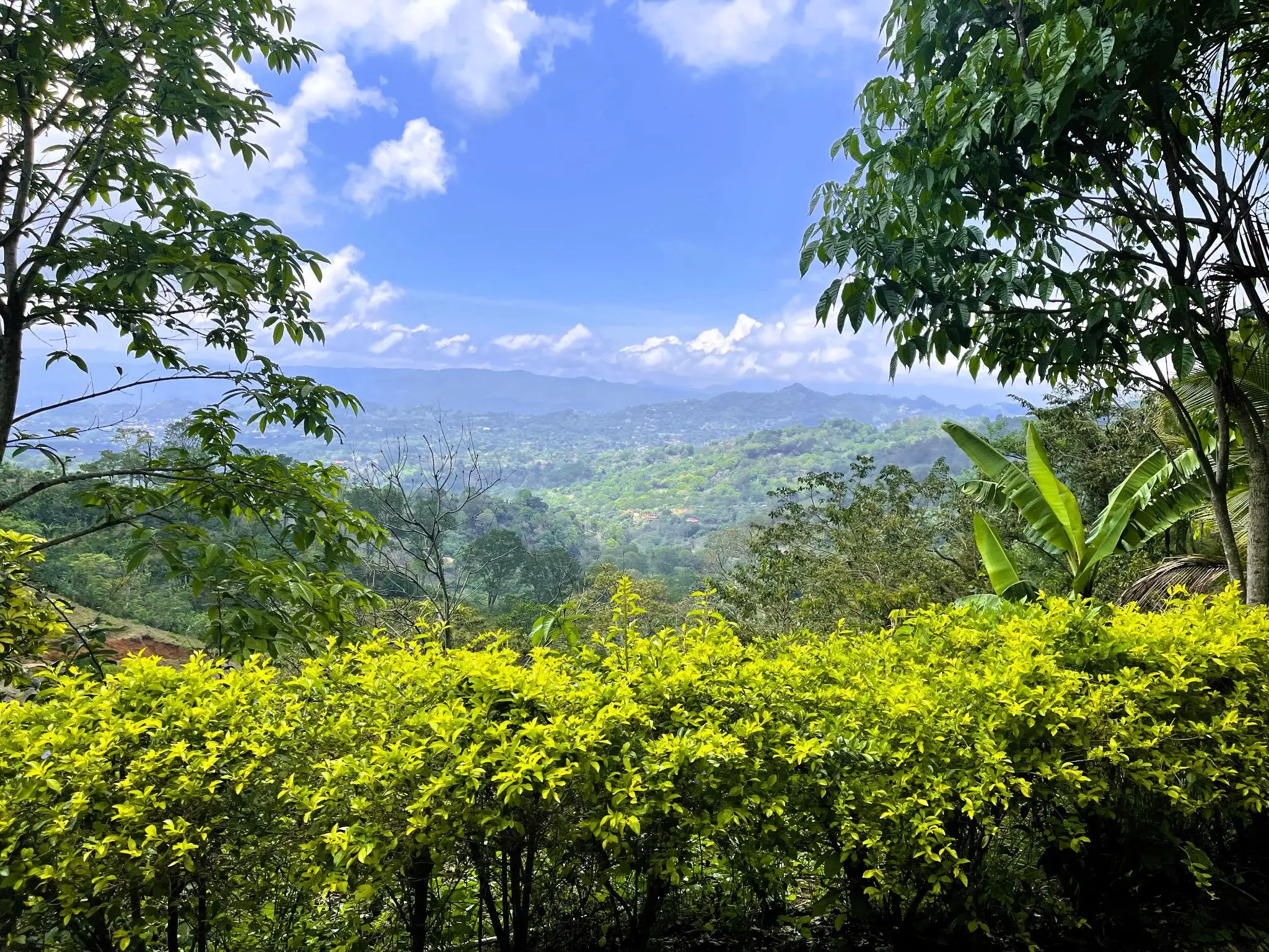 LAND FOR SALE IN ATENAS, ALAJUELA  - image 2