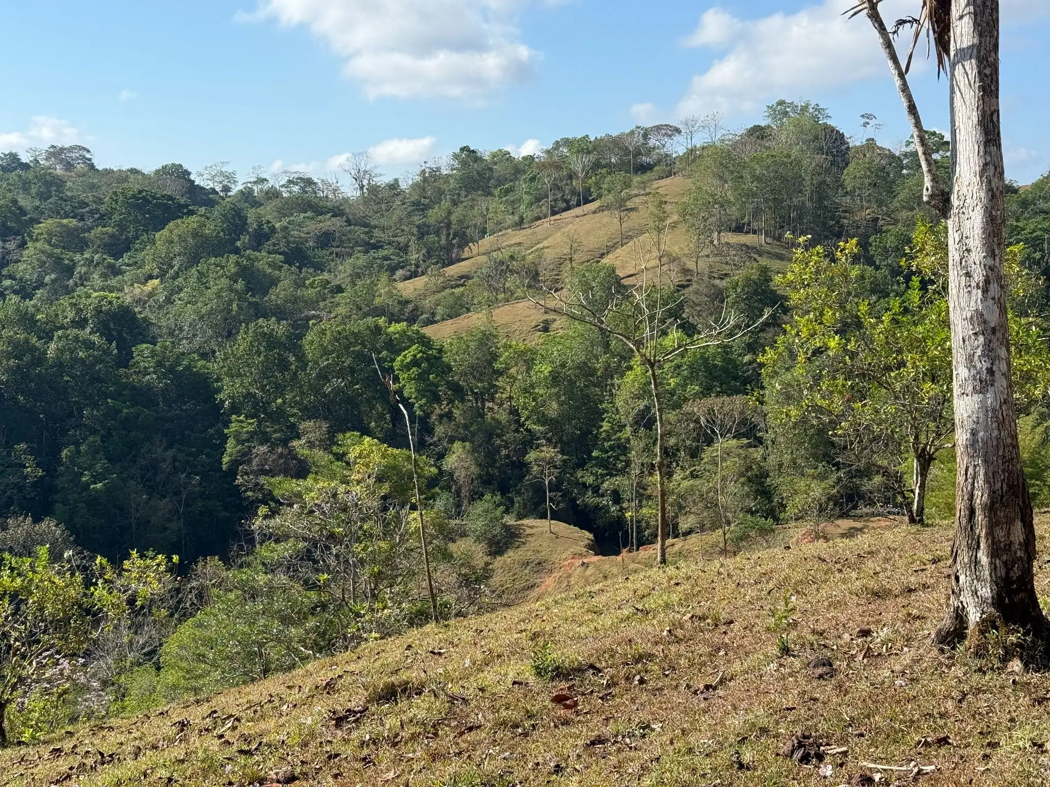 Eco-Luxury Mountain Santuary  11.48 Hectares of Pristine Paradise: Lush Forest, River & Farm Potential in Arenal Puriscal , San Jose  - image 11