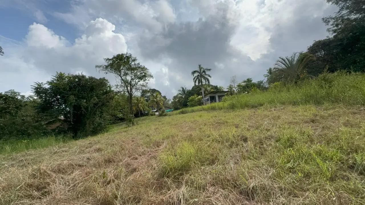6,179 m² mixed-use land  in Delicias, minutes from  Montezuma and Santa Teresa - image 6