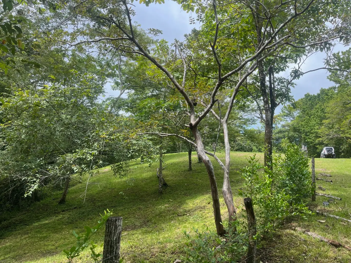 Beautiful Ready to Build Lot in Delicias,  Great Price with Project and Permits included - image 15