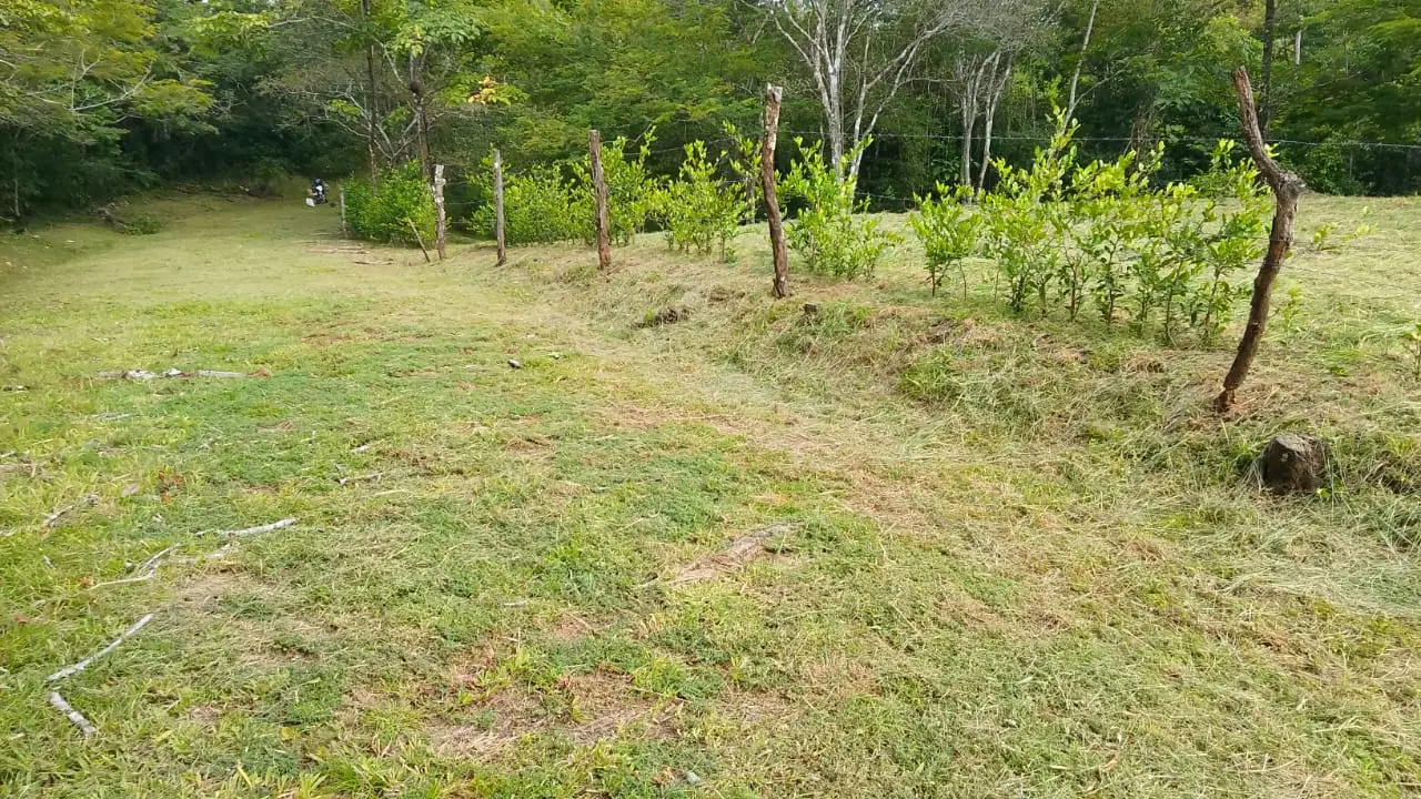 Beautiful Ready to Build Lot in Delicias – Great Price, Permits included - image 2