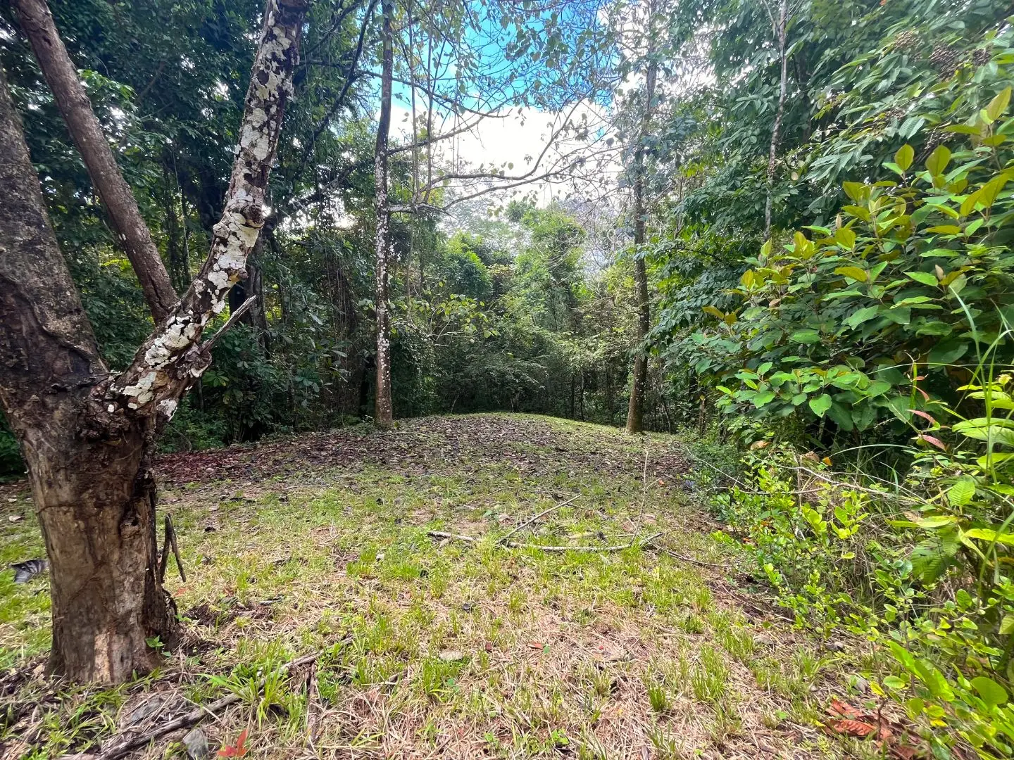 Beautiful Ready to Build Lot in Delicias,  Great Price with Project and Permits included - image 10