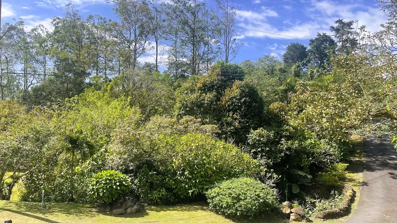 OCEAN VIEW LOT FOR SALE IN SANTIAGO, SAN RAMON - image 10