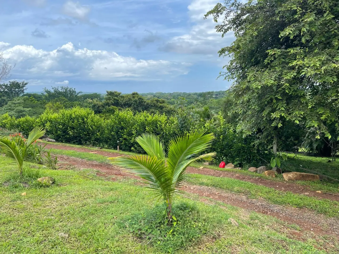 Hacienda Mi Quinta in San Mateo de Alajuela, Orotina - image 5