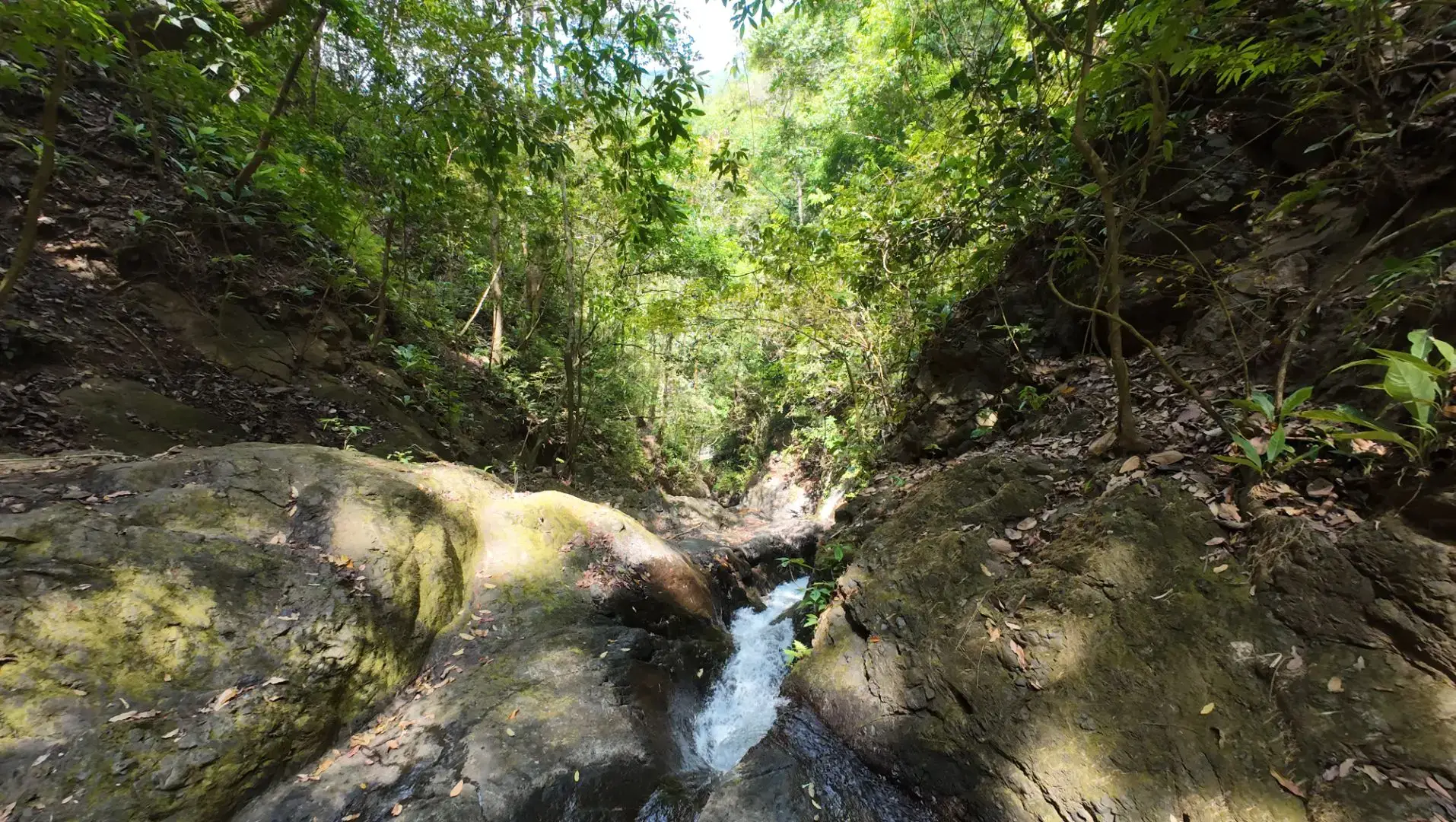 Strategically Located  Lot in Las Monas, Jacó – Near Beaches, Waterfalls & All Amenities - image 7