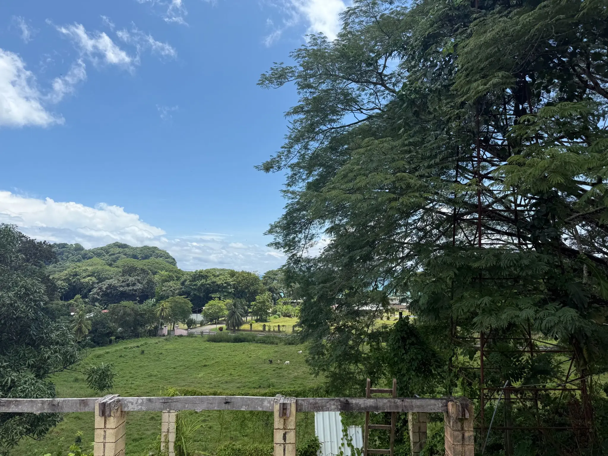 Playa Agujas Premier Ocean-View Development Parcel: 5.1 Hectares in Costa Rica's Garabito Coast - image 4