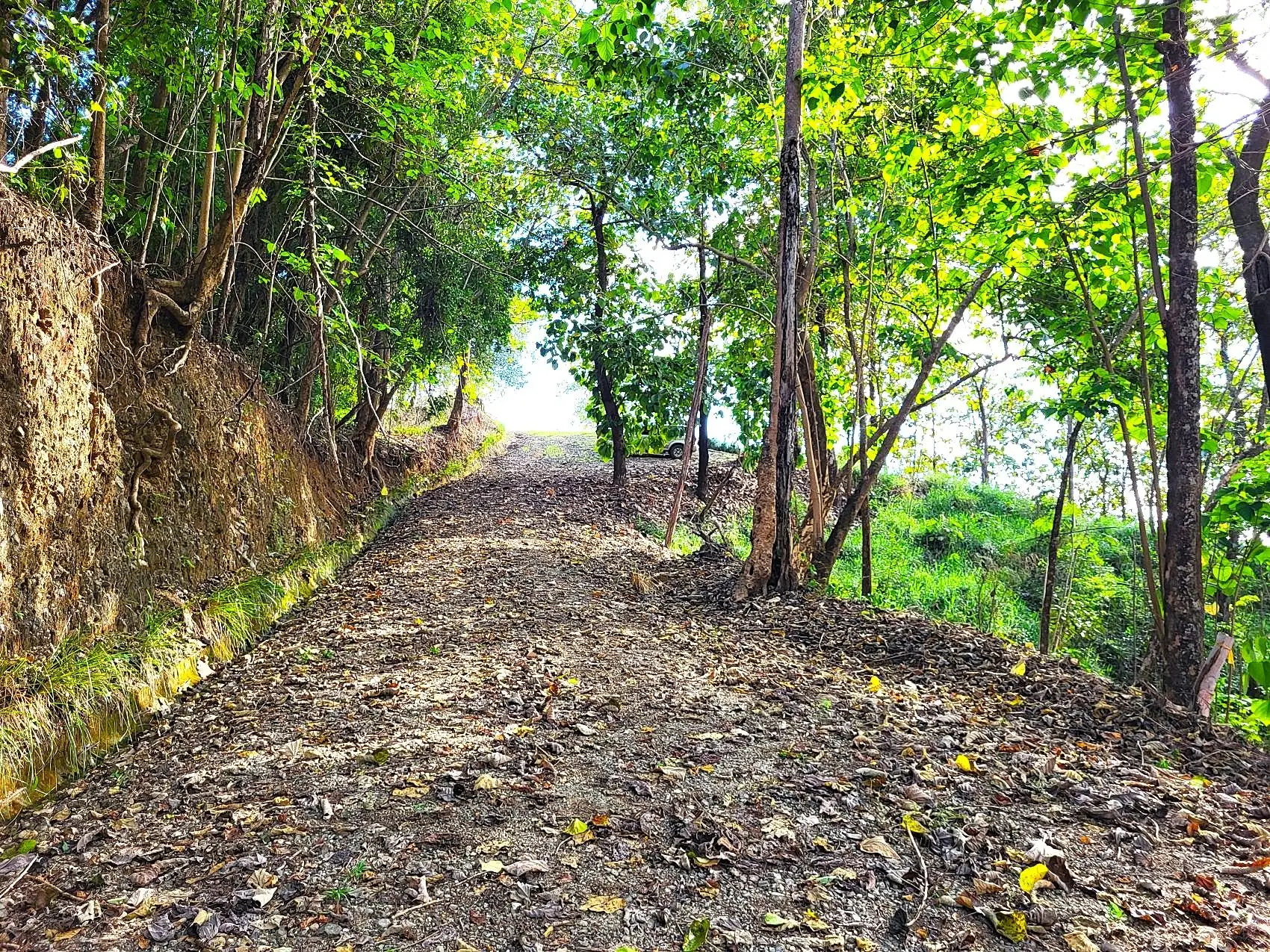 Mountaintop Ocean View Lot in Private, Gated Community Overlooking Tambor - image 8