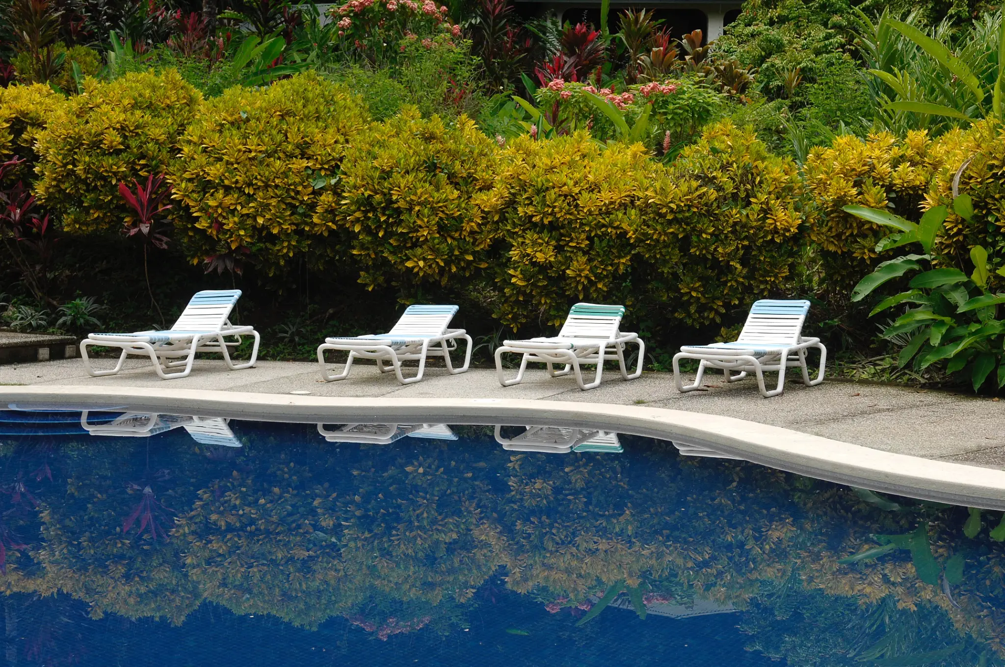 Nearly 90 Hectares of Untouched Jungle Beauty with Stunning Ocean Views, Steps from the Beach in Costa Rica’s Blue Zone. - image 4