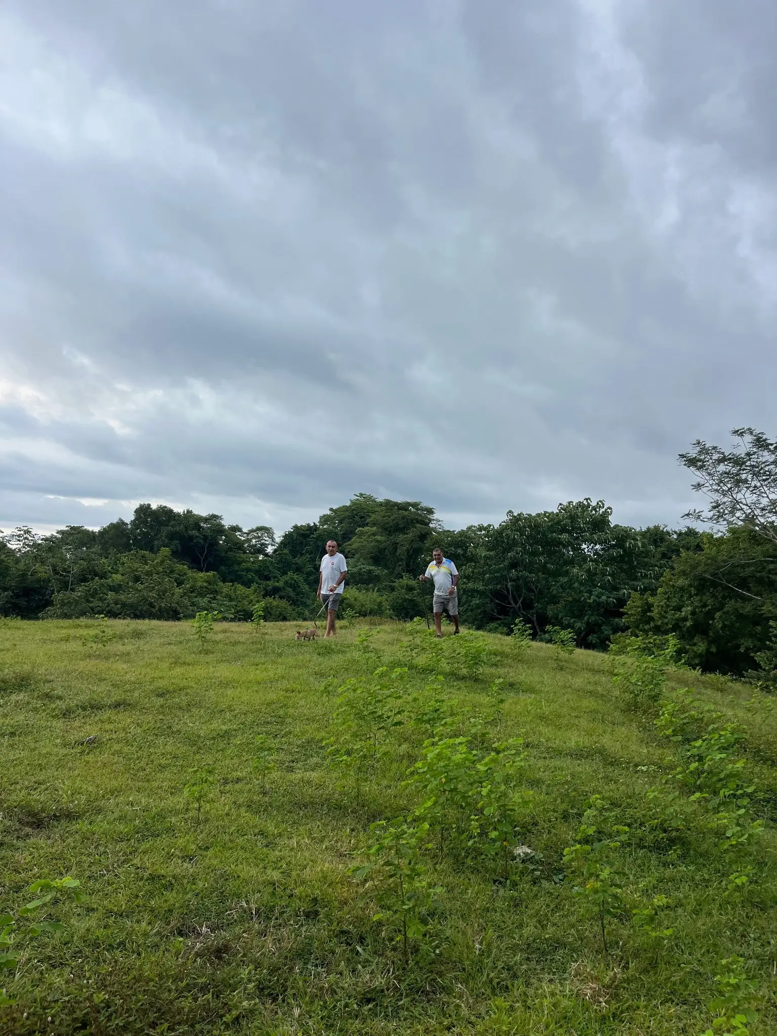 Exclusive Ocean View 2,7 hectares (6.8Acres) Estate Land in Playa Hermosa Hills - image 12