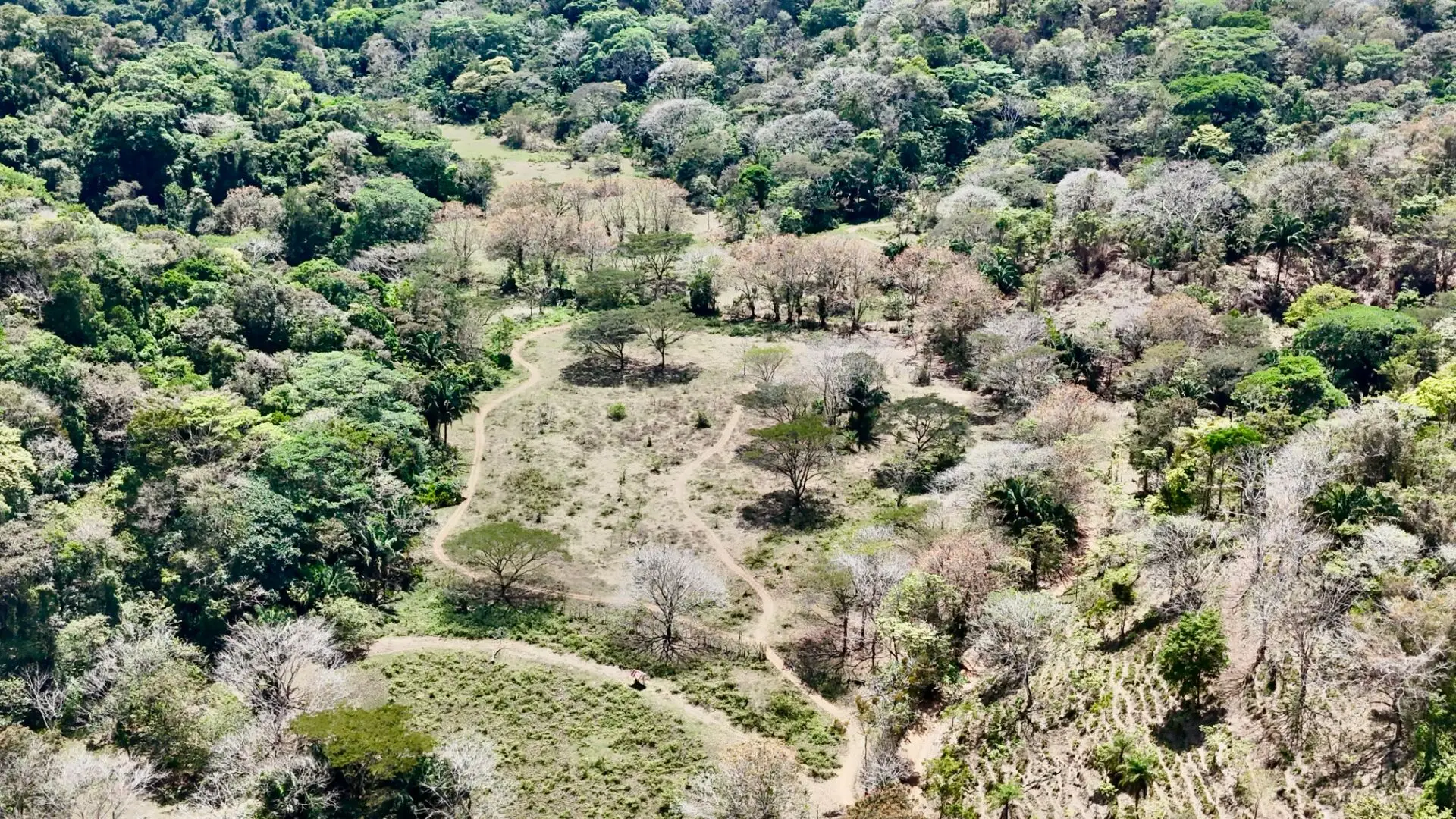 Central Pacific Oceanfront Resort Development Site | 111.9 Acres - image 10