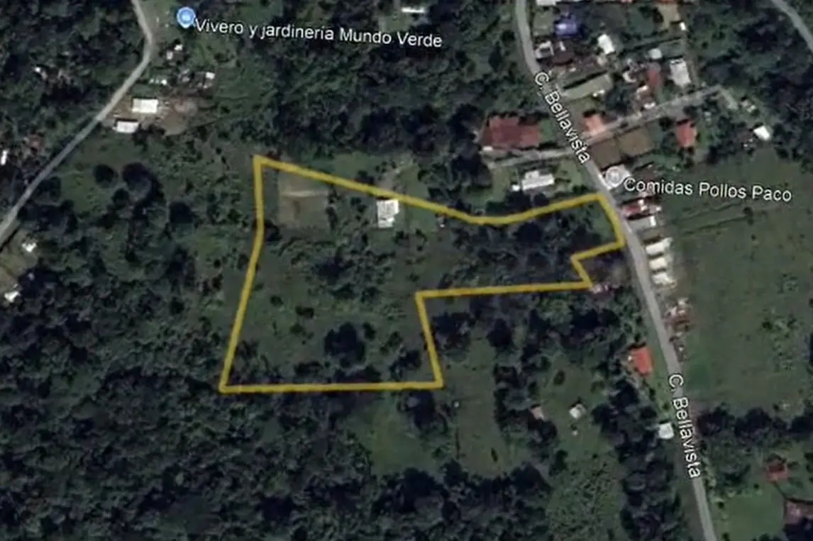 For Sale: Guapiles, Limón: Vast 6.2 Hectare Farm - image 2