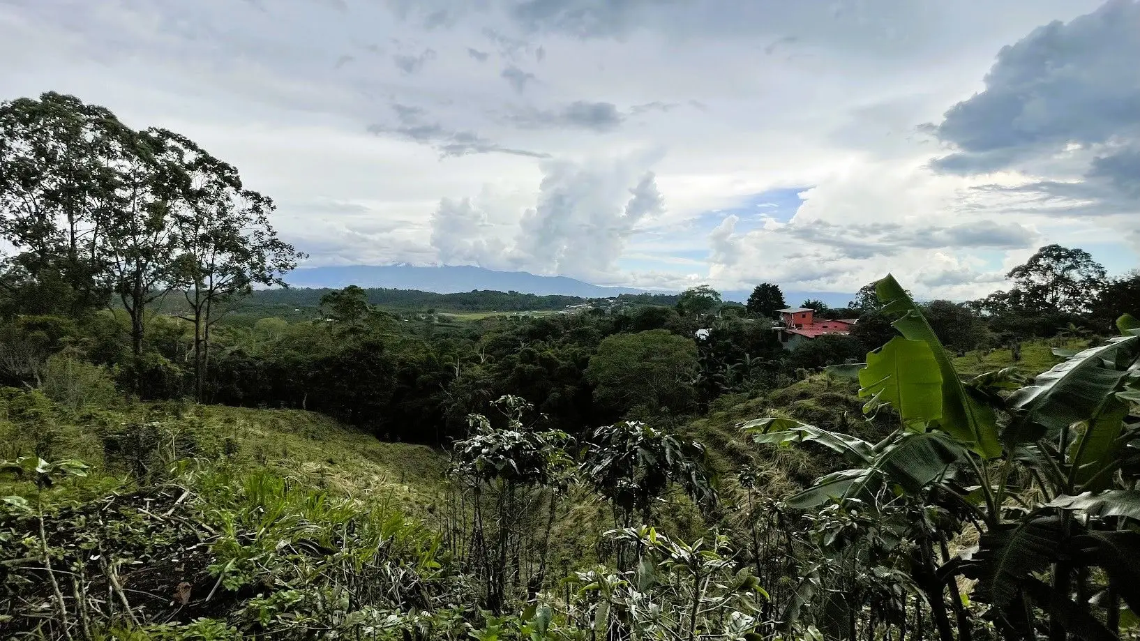 LAND WITH A HOUSE IN CARRIZAL, ALAJUELA - image 13