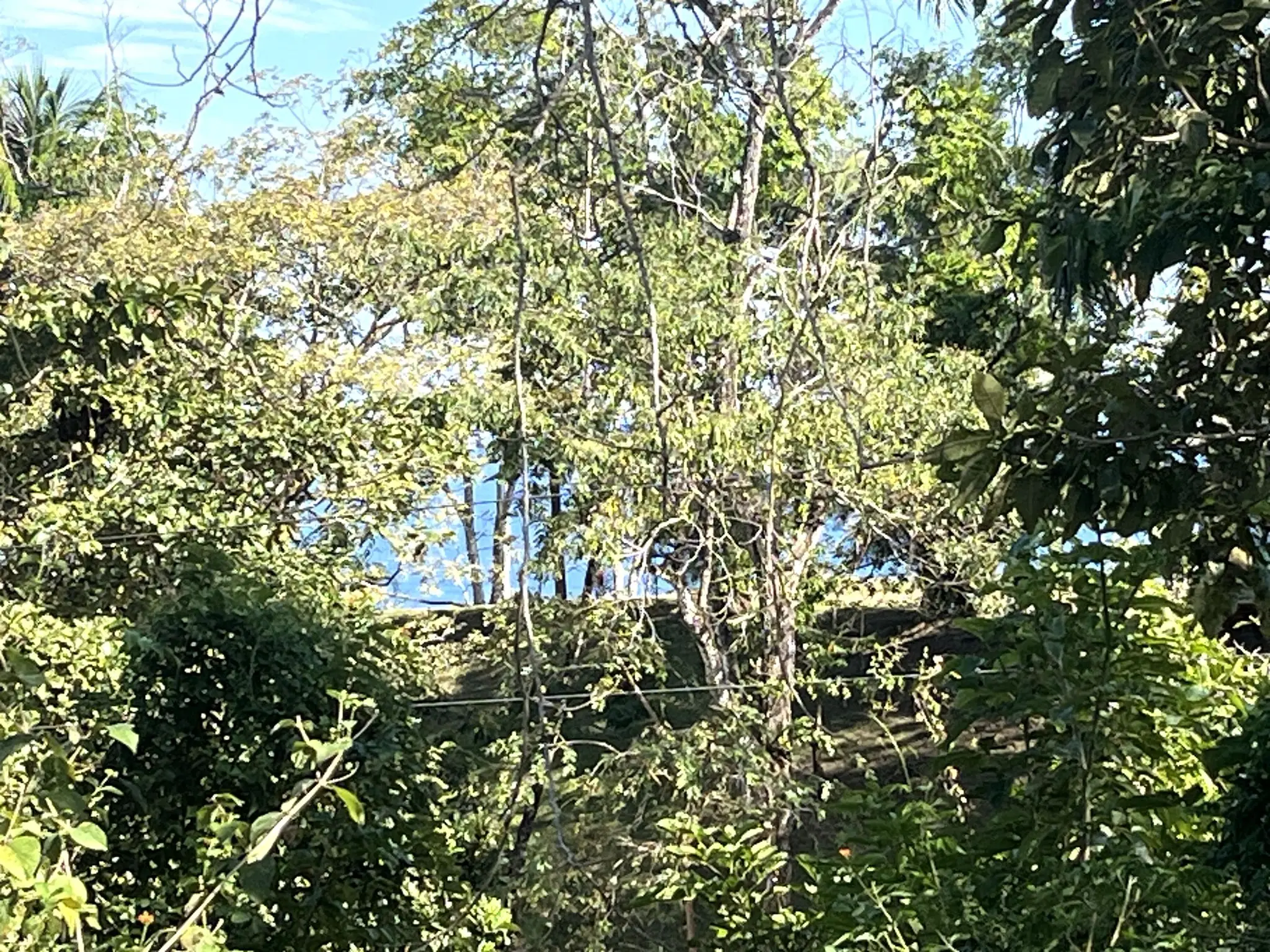 4000m2 Lot with parcial ocean views  in Delicias close to Montezuma and 20 min from Santa Teresa Ready to Build - image 6