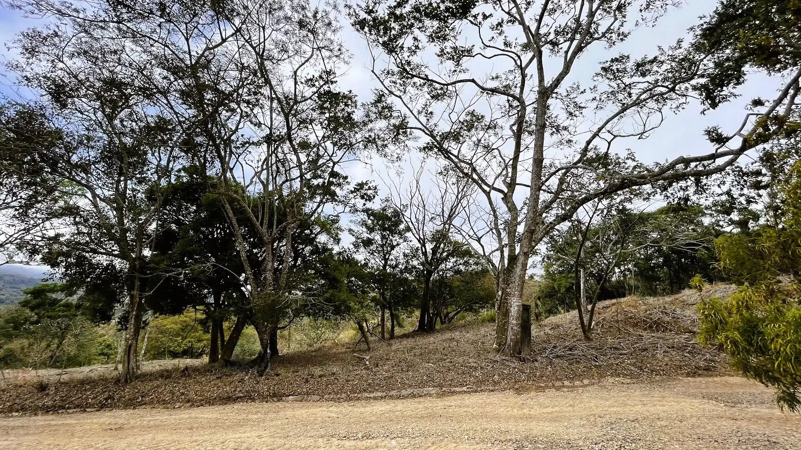 LOT FOR SALE IN SAN PEDRO, SAN RAMON - image 8