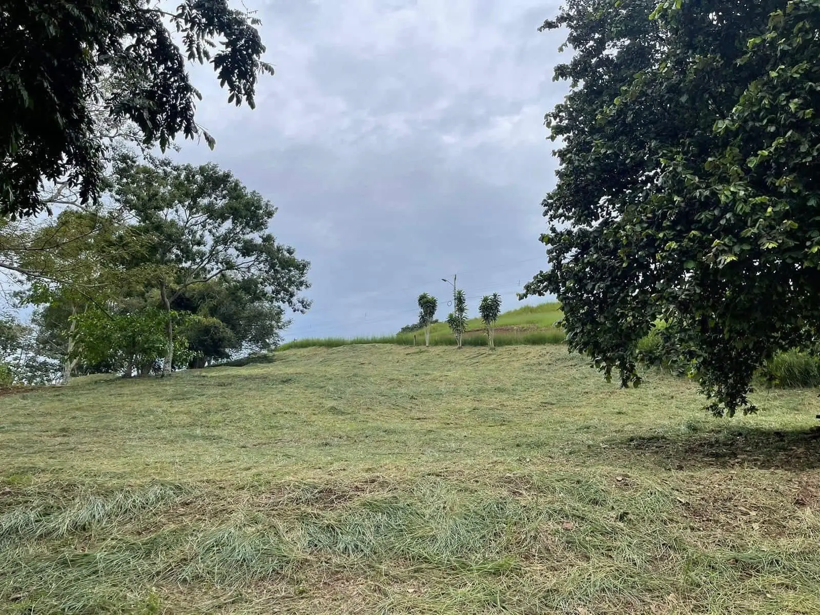 Land for sale of 502 m² in San Miguel, Naranjo - USD 50,000 - image 5