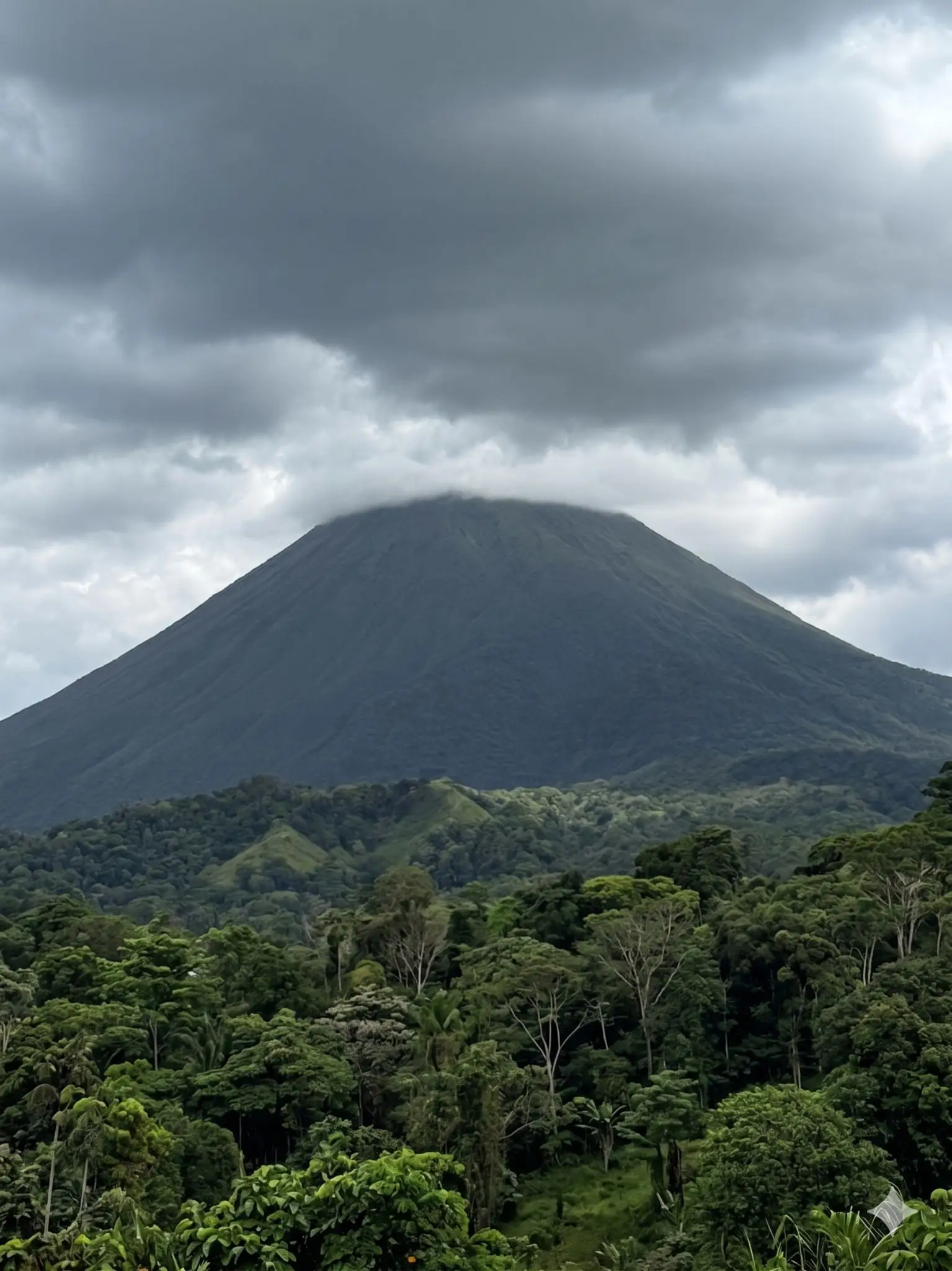 SALE / Dream Farm in the province of ALAJUELA - image 3