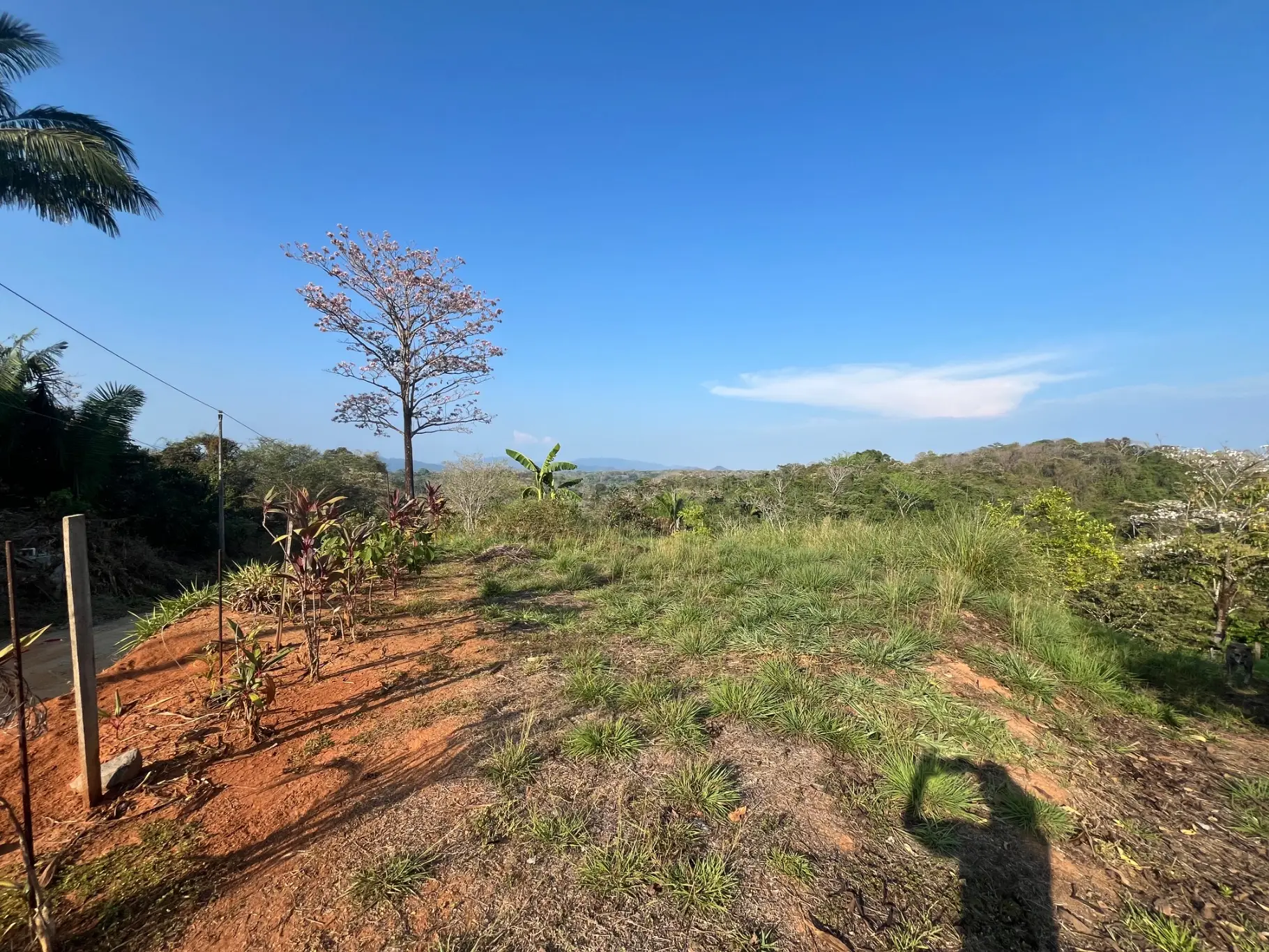 Lot with three building sites minutes to Hermosa in quiet neighborhood  - image 11