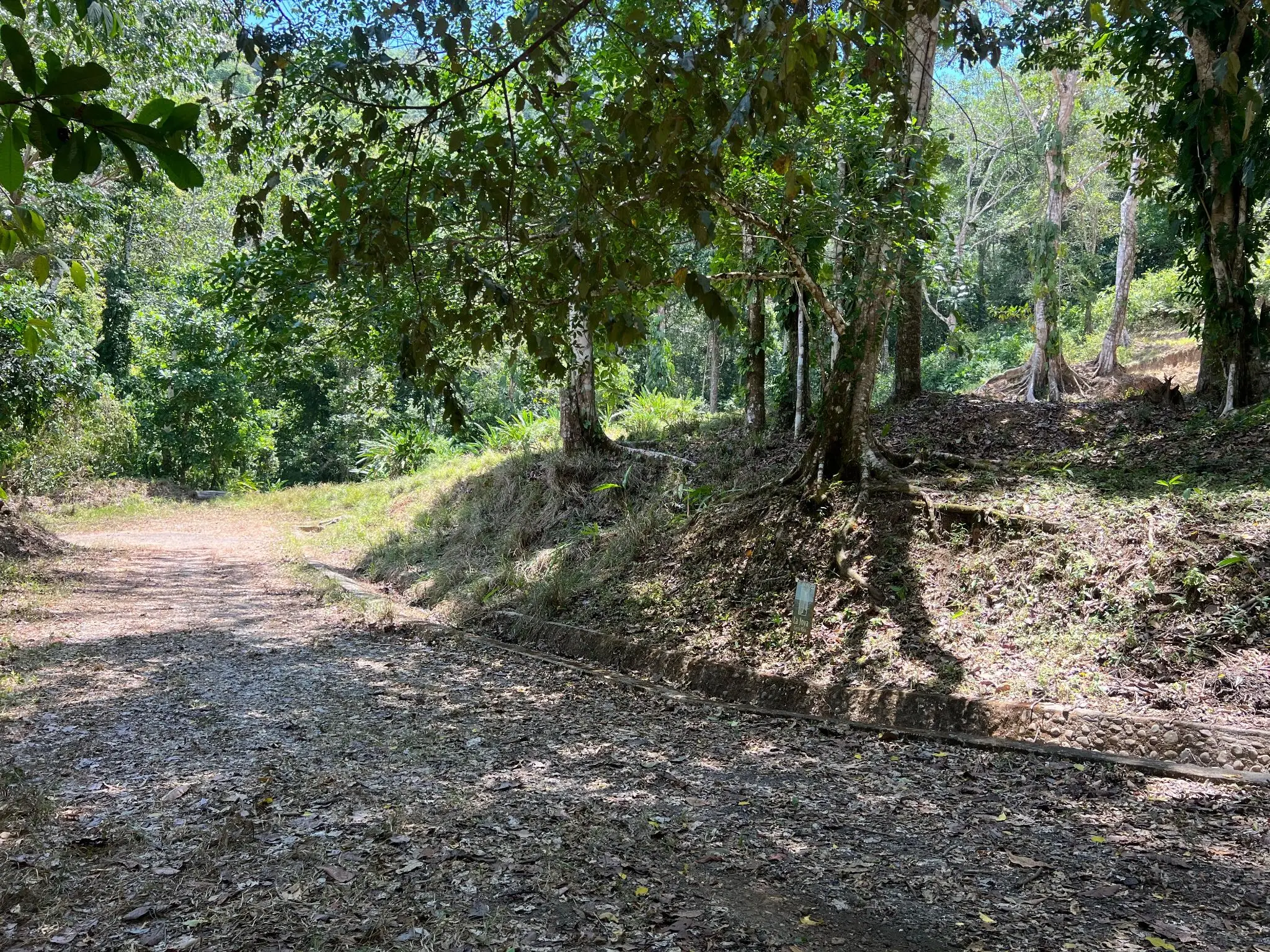 Prime 5028sqm Development Lot in Jacó, Costa Rica – Endless Possibilities Await  - image 3