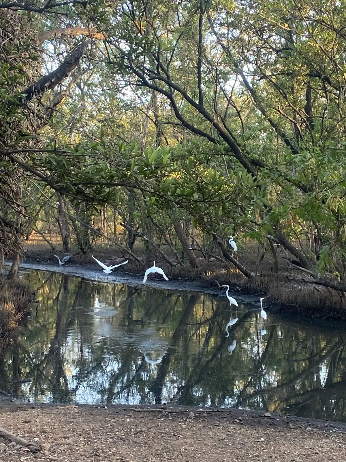   Peñón Guacalillo Ocean View Vertical & Commercial Development Opportunity - image 3
