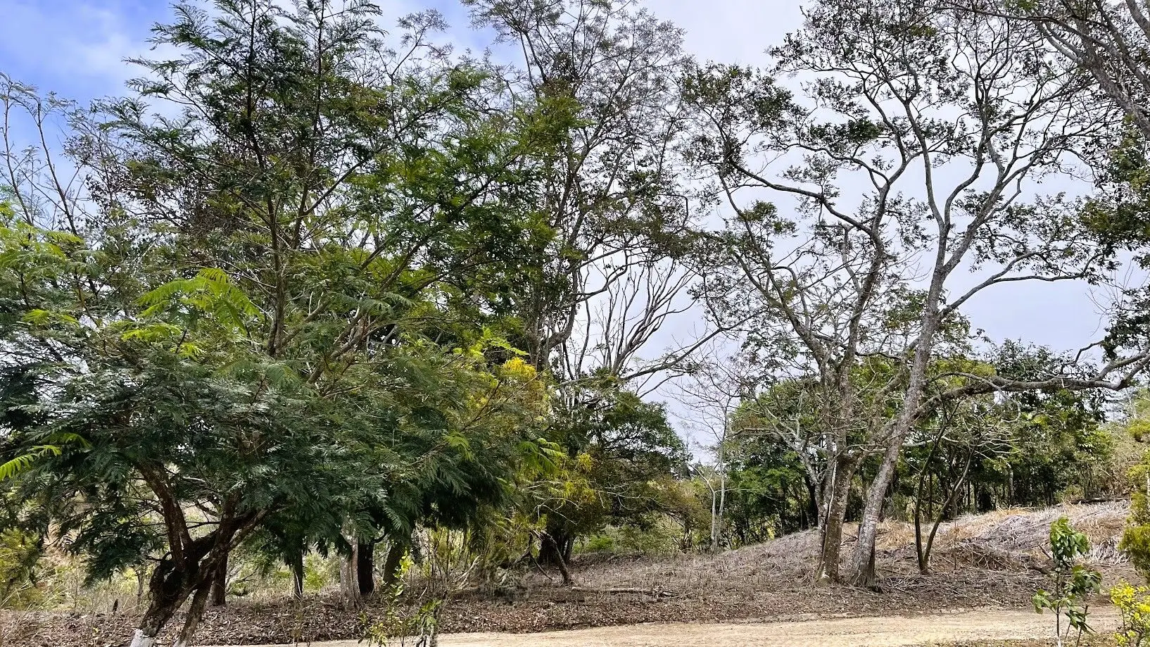 LOT FOR SALE IN SAN PEDRO, SAN RAMON - image 7