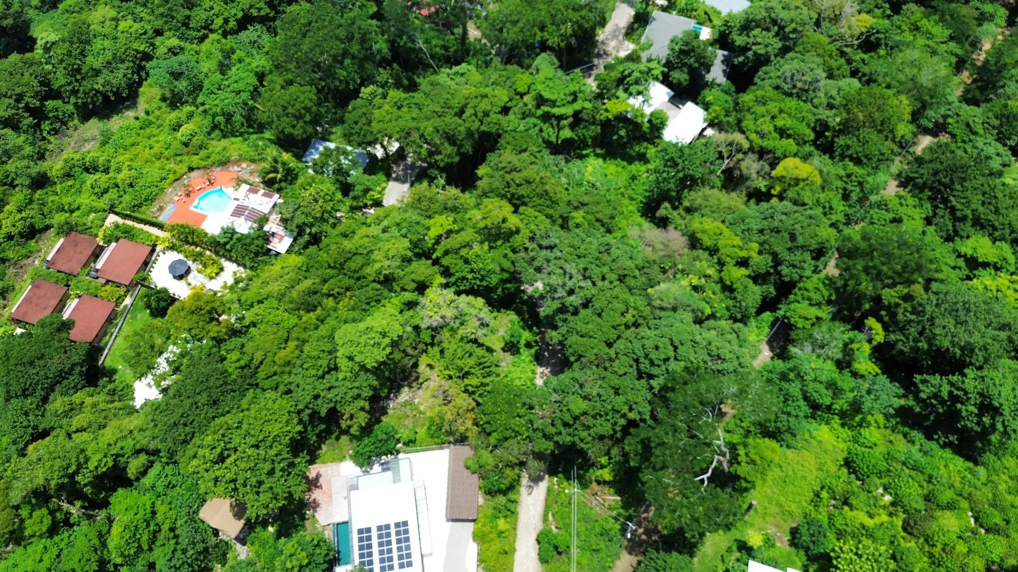 Exclusive 1260 m² Development Lot in Santa Teresa – Prime Location on Calle Buenos Aires - image 2