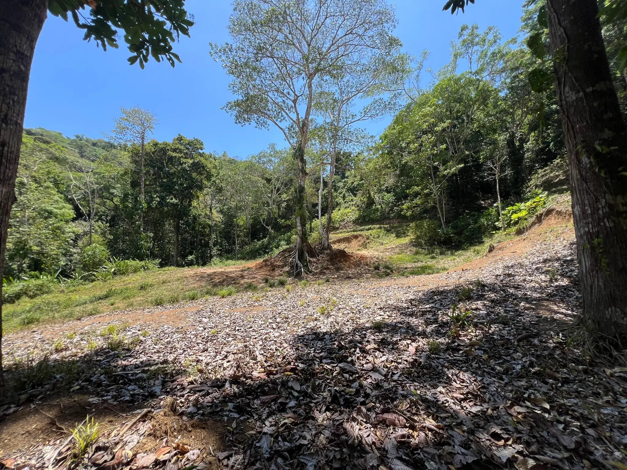 Prime 5028sqm Development Lot in Jacó, Costa Rica – Endless Possibilities Await  - image 7