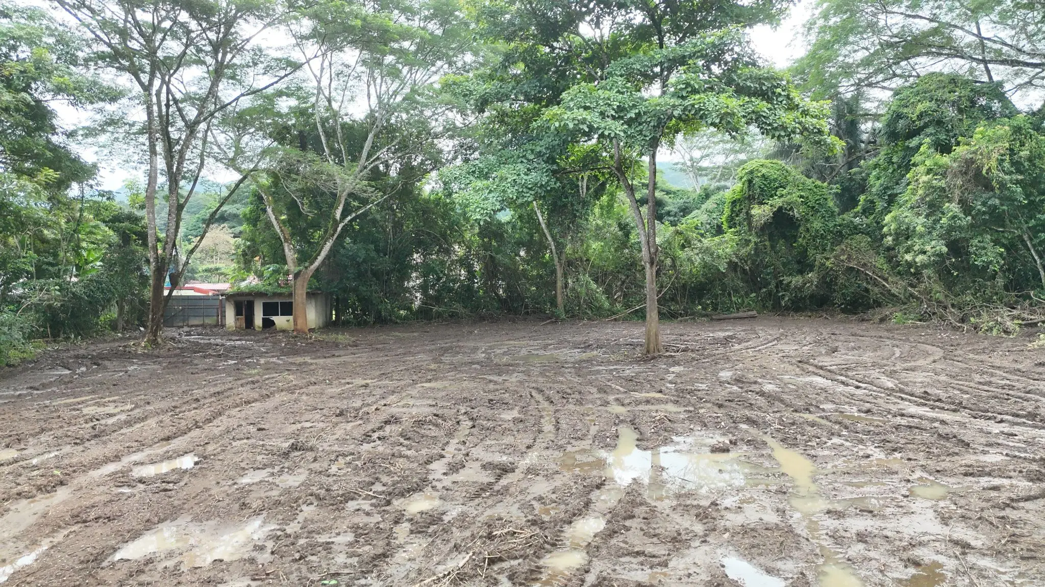 Prime Land for Sale in Tárcoles, Costa Rica - Ideal Development Opportunity! - image 8