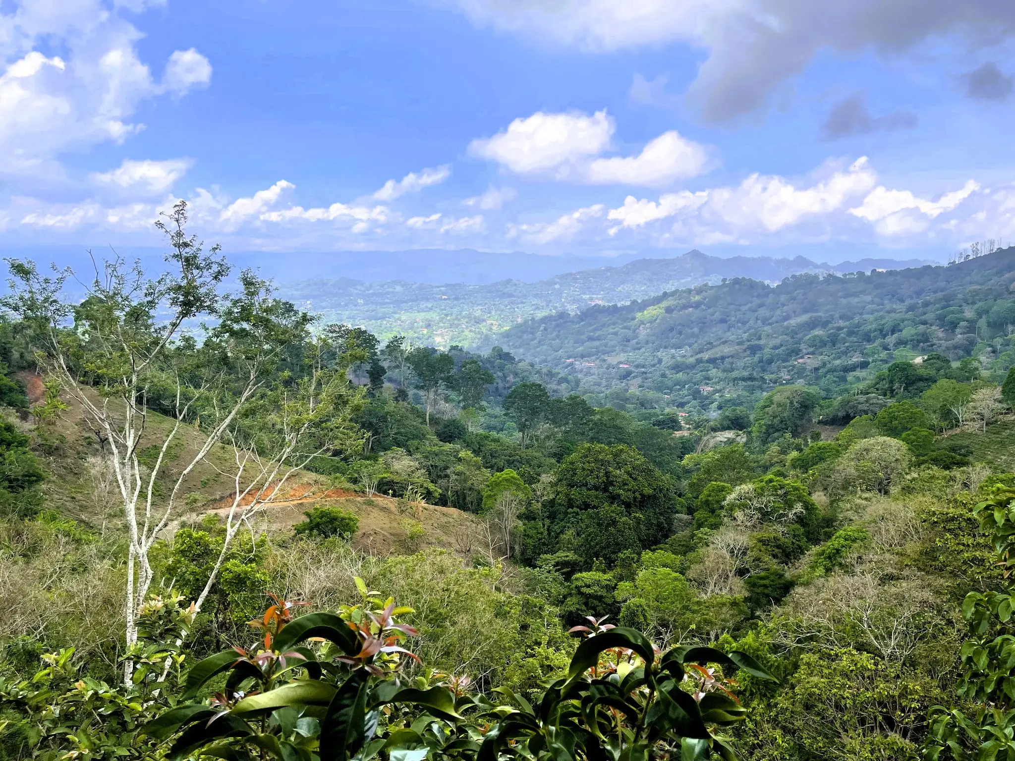 LAND FOR SALE IN ATENAS, ALAJUELA  - image 9