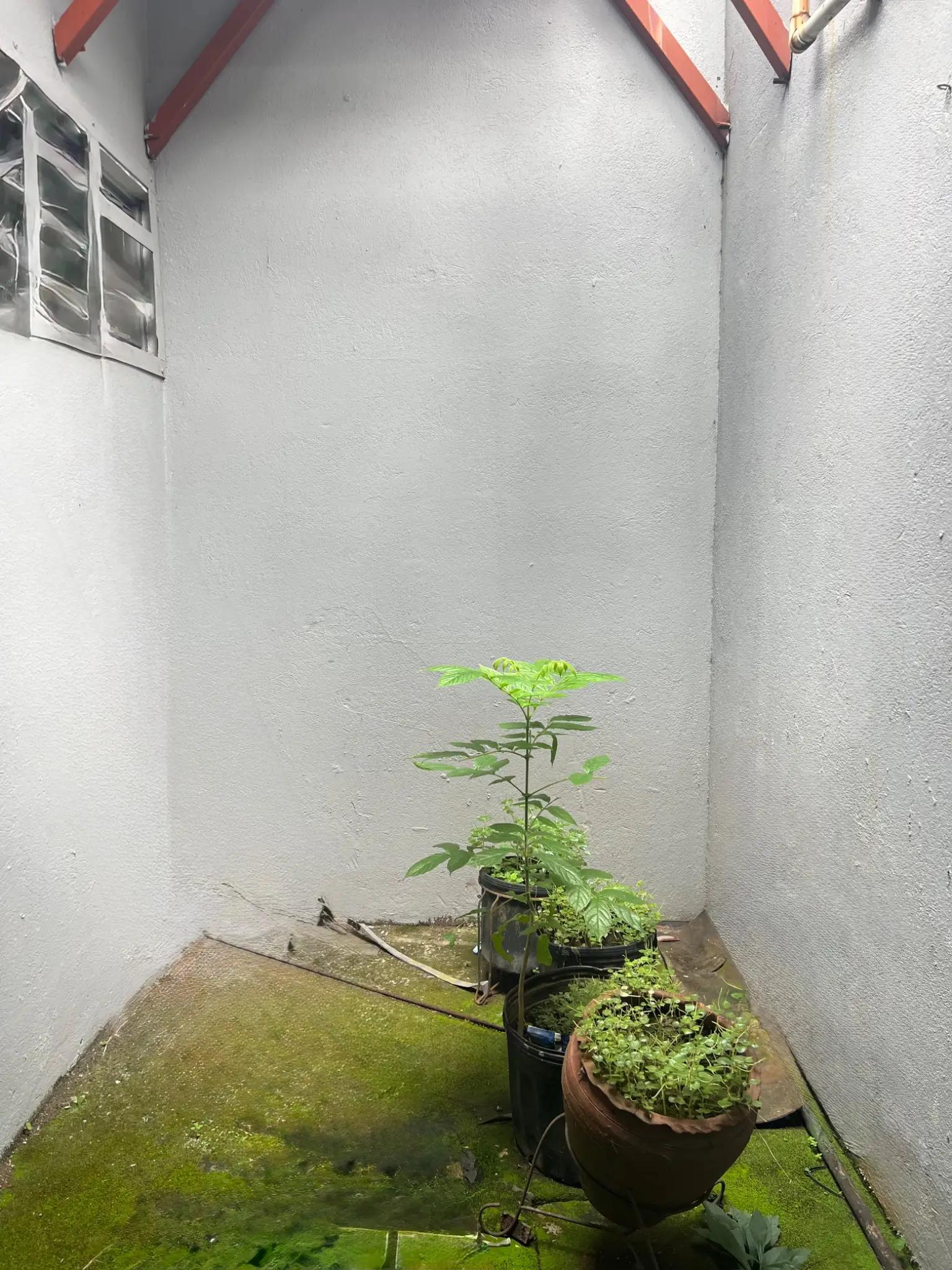 San José Commercial Building: Turnkey Medical & Dental Clinic - image 6