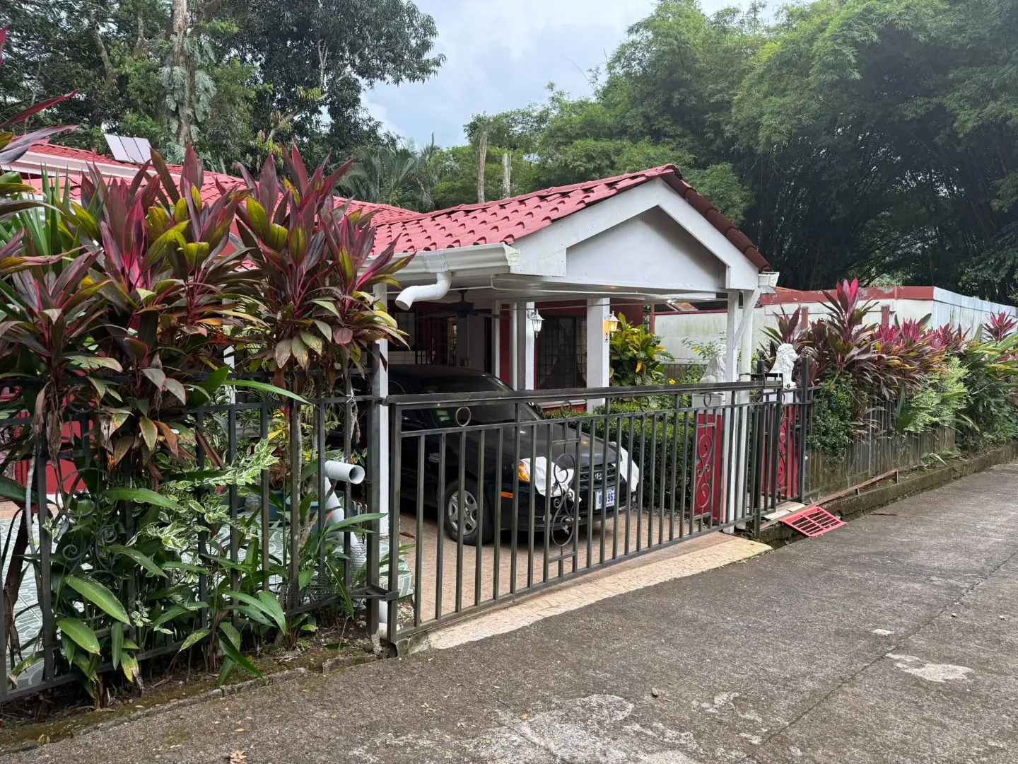 CHARMING  HOME WITH SCENIC FOREST VIEWS  - image 4