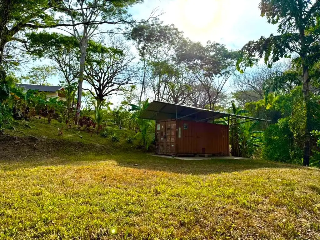 Jungle Lot 1,494 m² in Delicias with  Container Storage & Home Potential | 15 Min to Playa Carmen - image 5