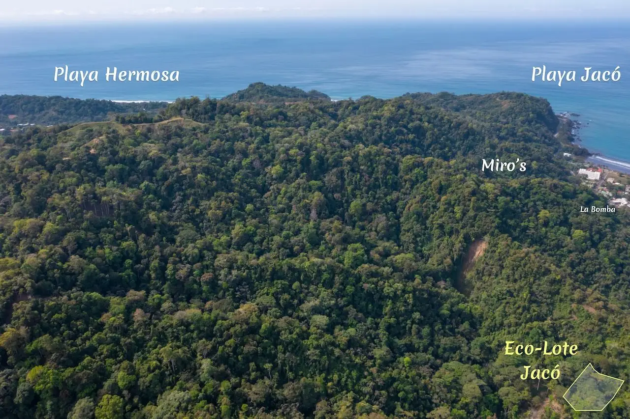 Prime 5028sqm Development Lot in Jacó, Costa Rica – Endless Possibilities Await  - image 11